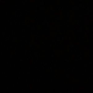 Meet your Posher, Ray